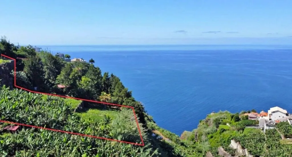 Two adjacent building plots with ocean views in Canhas, Ponta do Sol, Madeira (photo 3)
