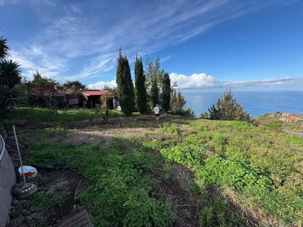 Two adjacent building plots with ocean views in Canhas, Ponta do Sol, Madeira (photo 5)