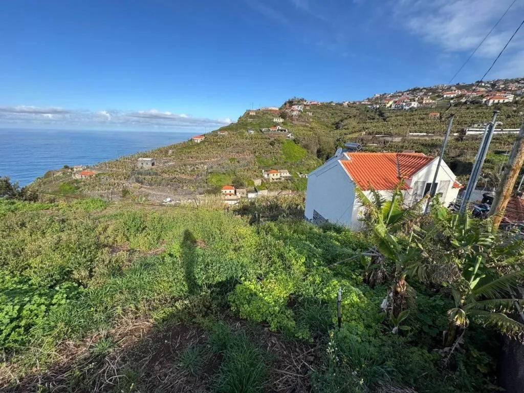 Two adjacent building plots with ocean views in Canhas, Ponta do Sol, Madeira (photo 6)