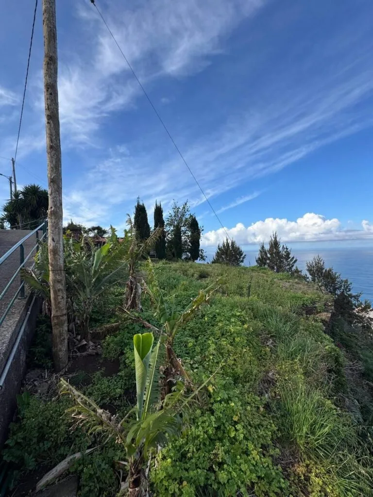 Two adjacent building plots with ocean views in Canhas, Ponta do Sol, Madeira (photo 7)