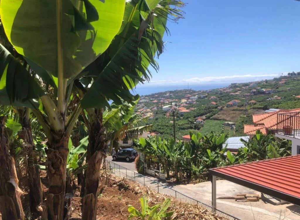 540 m2 building plot on Estrada Livramento, Ponta do Sol, Madeira (photo 3)